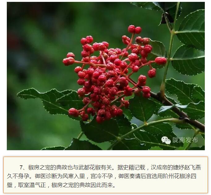 蘭渝鐵路最早由孫中山先生提出？在隴南，你不知道的事兒還有……
