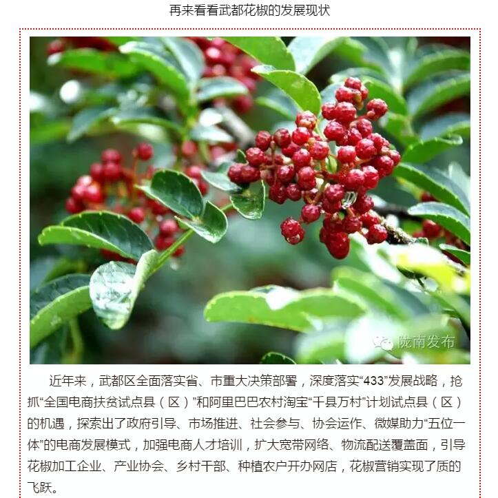5.28億！一場盛會，武都花椒“火”了